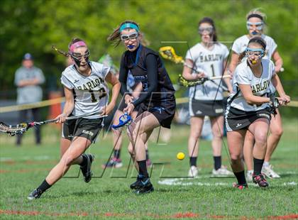 Thumbnail 3 in Bunnell @ Joel Barlow photogallery.