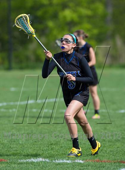 Thumbnail 1 in Bunnell @ Joel Barlow photogallery.