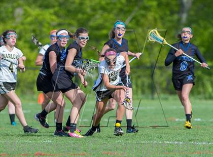 Thumbnail 3 in Bunnell @ Joel Barlow photogallery.