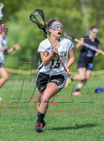 Thumbnail 3 in Bunnell @ Joel Barlow photogallery.
