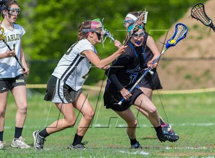 Thumbnail 3 in Bunnell @ Joel Barlow photogallery.
