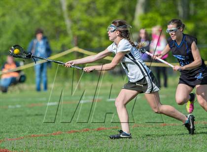 Thumbnail 3 in Bunnell @ Joel Barlow photogallery.