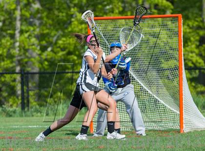 Thumbnail 1 in Bunnell @ Joel Barlow photogallery.