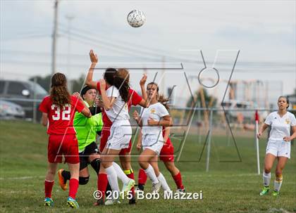 Thumbnail 1 in Beaver @ Crestview photogallery.