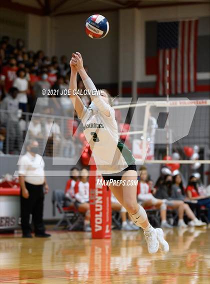 Thumbnail 3 in Incarnate Word @ Lee photogallery.