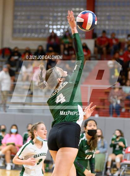 Thumbnail 3 in Incarnate Word @ Lee photogallery.