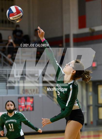 Thumbnail 3 in Incarnate Word @ Lee photogallery.