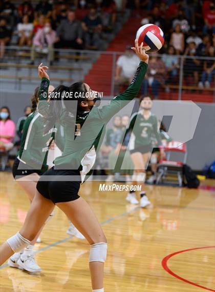 Thumbnail 3 in Incarnate Word @ Lee photogallery.