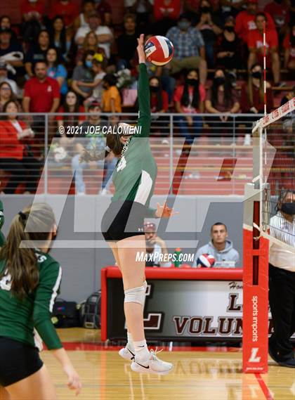 Thumbnail 2 in Incarnate Word @ Lee photogallery.