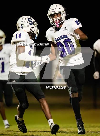 Thumbnail 2 in Saluda @ Pelion photogallery.