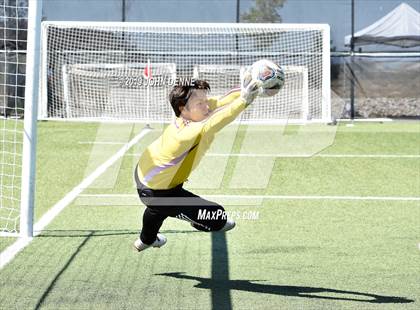 Thumbnail 2 in Robertson vs. Taos photogallery.