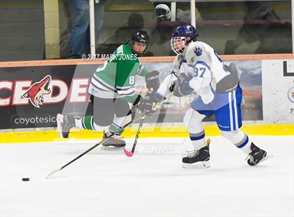 Thumbnail 1 in Flagstaff vs. Mesquite (AHSHA D2 Playoff) photogallery.