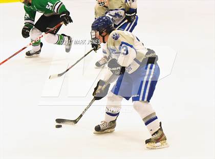 Thumbnail 3 in Flagstaff vs. Mesquite (AHSHA D2 Playoff) photogallery.