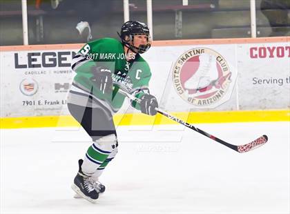 Thumbnail 1 in Flagstaff vs. Mesquite (AHSHA D2 Playoff) photogallery.