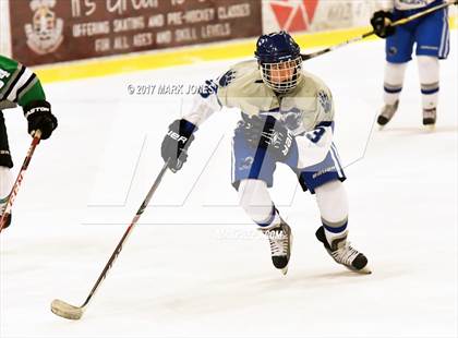 Thumbnail 1 in Flagstaff vs. Mesquite (AHSHA D2 Playoff) photogallery.