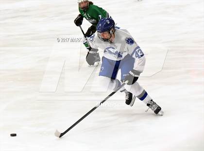 Thumbnail 3 in Flagstaff vs. Mesquite (AHSHA D2 Playoff) photogallery.