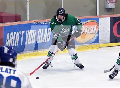 Thumbnail 3 in Flagstaff vs. Mesquite (AHSHA D2 Playoff) photogallery.