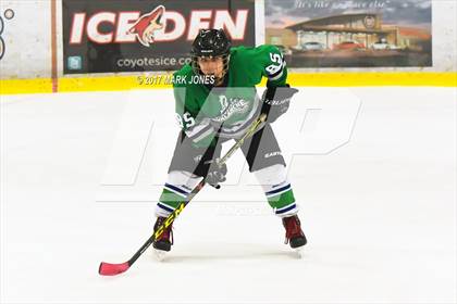Thumbnail 2 in Flagstaff vs. Mesquite (AHSHA D2 Playoff) photogallery.