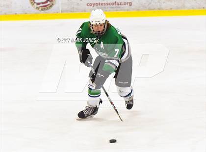 Thumbnail 1 in Flagstaff vs. Mesquite (AHSHA D2 Playoff) photogallery.