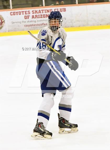 Thumbnail 1 in Flagstaff vs. Mesquite (AHSHA D2 Playoff) photogallery.