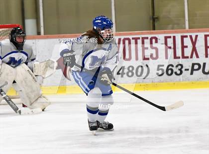 Thumbnail 1 in Flagstaff vs. Mesquite (AHSHA D2 Playoff) photogallery.