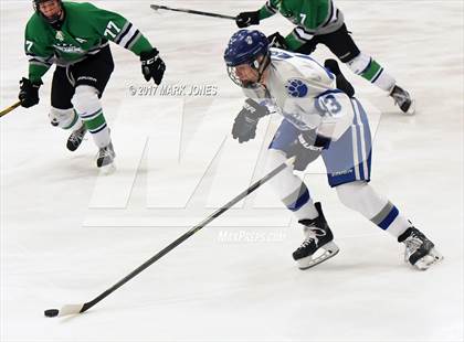 Thumbnail 1 in Flagstaff vs. Mesquite (AHSHA D2 Playoff) photogallery.