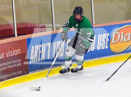 Thumbnail 1 in Flagstaff vs. Mesquite (AHSHA D2 Playoff) photogallery.