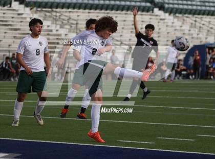 Thumbnail 1 in Poteet @ Mesquite photogallery.