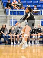 Photo from the gallery "Brandeis @ Clark"
