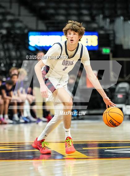 Thumbnail 2 in Denver South vs Dakota Ridge (Ball Arena) photogallery.