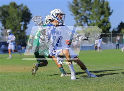 Thumbnail 3 in Palisades vs Hamilton (CIF LA City Section Final) photogallery.
