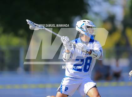 Thumbnail 3 in Palisades vs Hamilton (CIF LA City Section Final) photogallery.