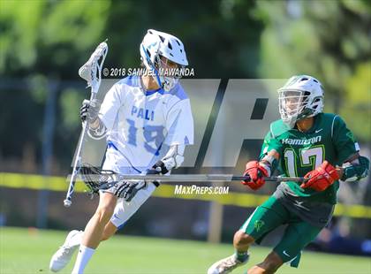 Thumbnail 2 in Palisades vs Hamilton (CIF LA City Section Final) photogallery.