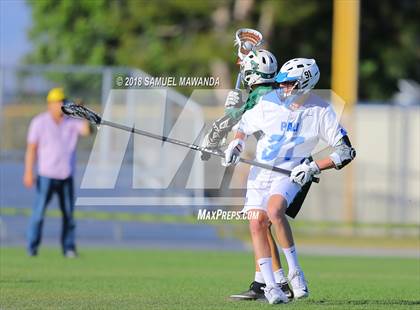 Thumbnail 3 in Palisades vs Hamilton (CIF LA City Section Final) photogallery.
