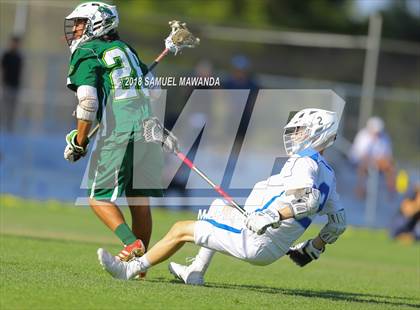 Thumbnail 2 in Palisades vs Hamilton (CIF LA City Section Final) photogallery.