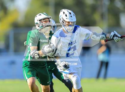 Thumbnail 2 in Palisades vs Hamilton (CIF LA City Section Final) photogallery.