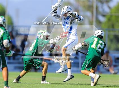 Thumbnail 3 in Palisades vs Hamilton (CIF LA City Section Final) photogallery.