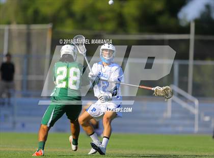 Thumbnail 1 in Palisades vs Hamilton (CIF LA City Section Final) photogallery.