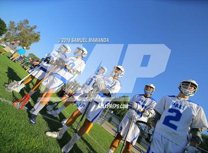 Thumbnail 1 in Palisades vs Hamilton (CIF LA City Section Final) photogallery.