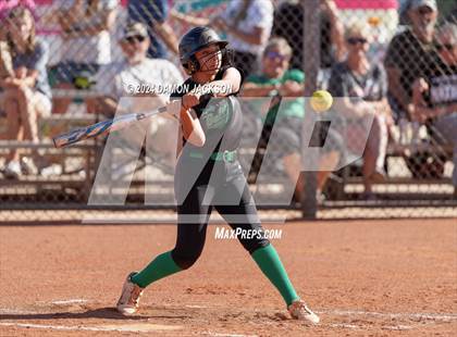 Thumbnail 2 in Pahrump Valley @ Virgin Valley (2024 NIAA 3A Southern Region Softball Playoffs) photogallery.