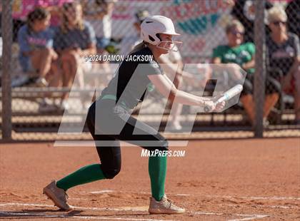Thumbnail 2 in Pahrump Valley @ Virgin Valley (2024 NIAA 3A Southern Region Softball Playoffs) photogallery.
