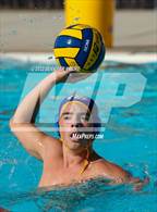 Photo from the gallery "Pinole Valley vs. Newark Memorial"