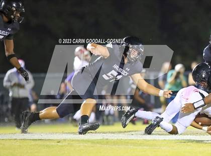 Thumbnail 2 in Jacksonville @ Havelock photogallery.