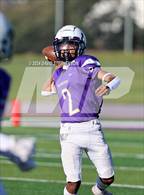 Photo from the gallery "Paso Robles @ Righetti"