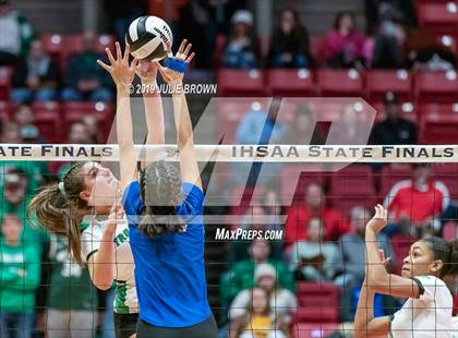 Thumbnail 1 in New Castle vs. Hamilton Southeastern (IHSAA 4A State Final) photogallery.