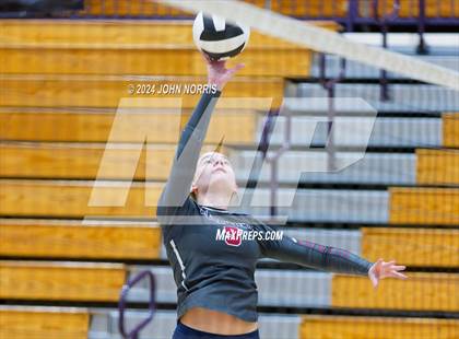 Thumbnail 2 in Bellmont @ Leo photogallery.