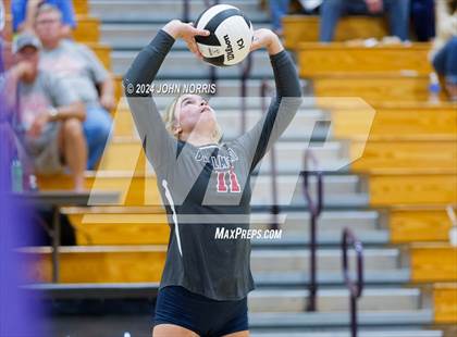 Thumbnail 1 in Bellmont @ Leo photogallery.