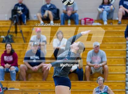 Thumbnail 3 in Bellmont @ Leo photogallery.