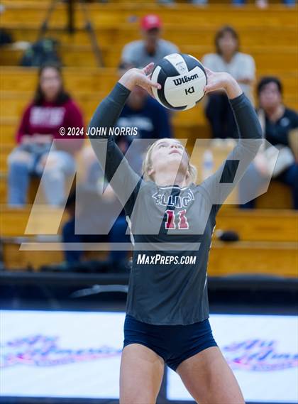 Thumbnail 2 in Bellmont @ Leo photogallery.