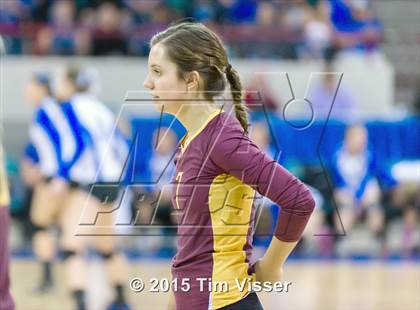 Thumbnail 1 in Windsor vs. Mead (CHSAA 4A Playoff) photogallery.